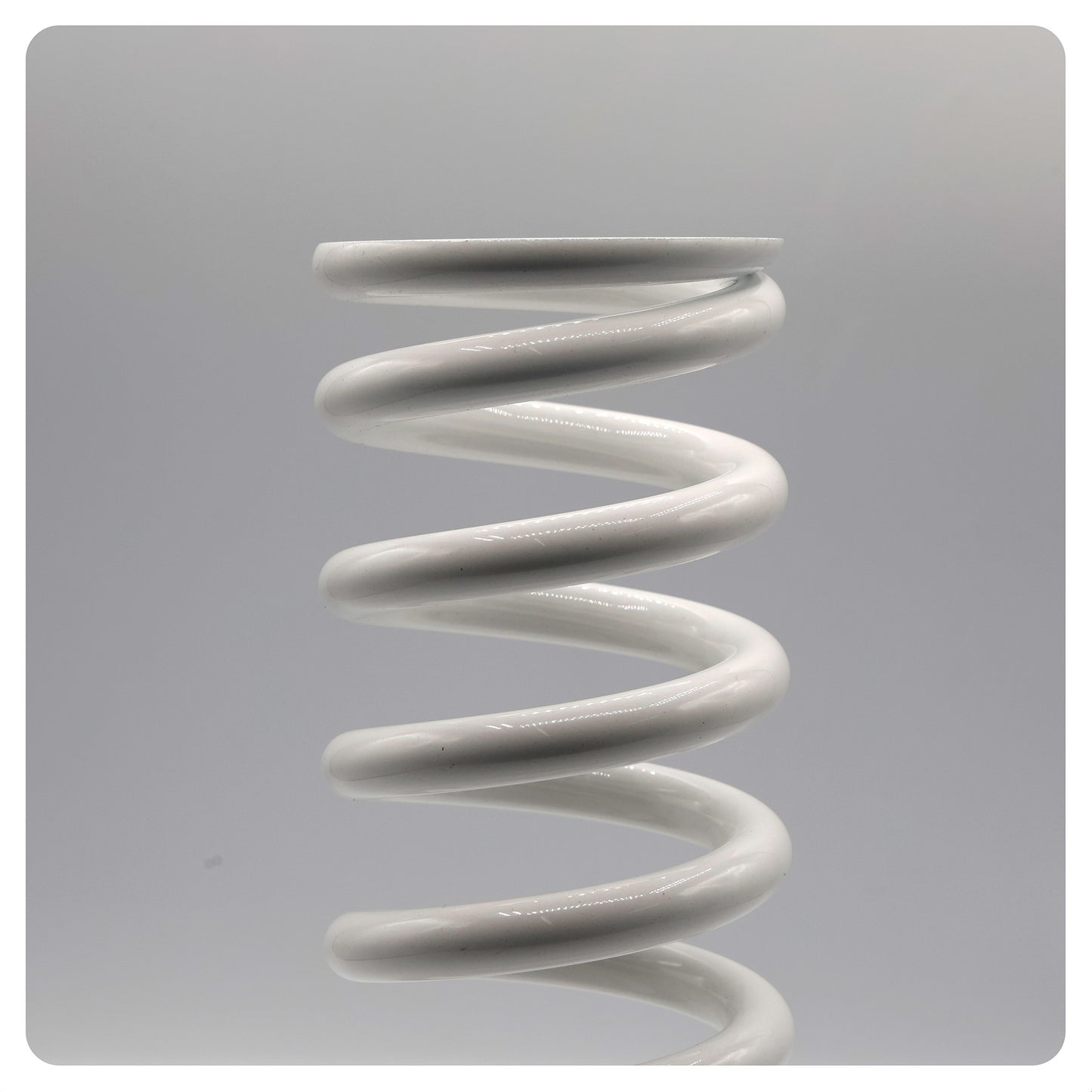 REAR SPRINGS (59) 235MM