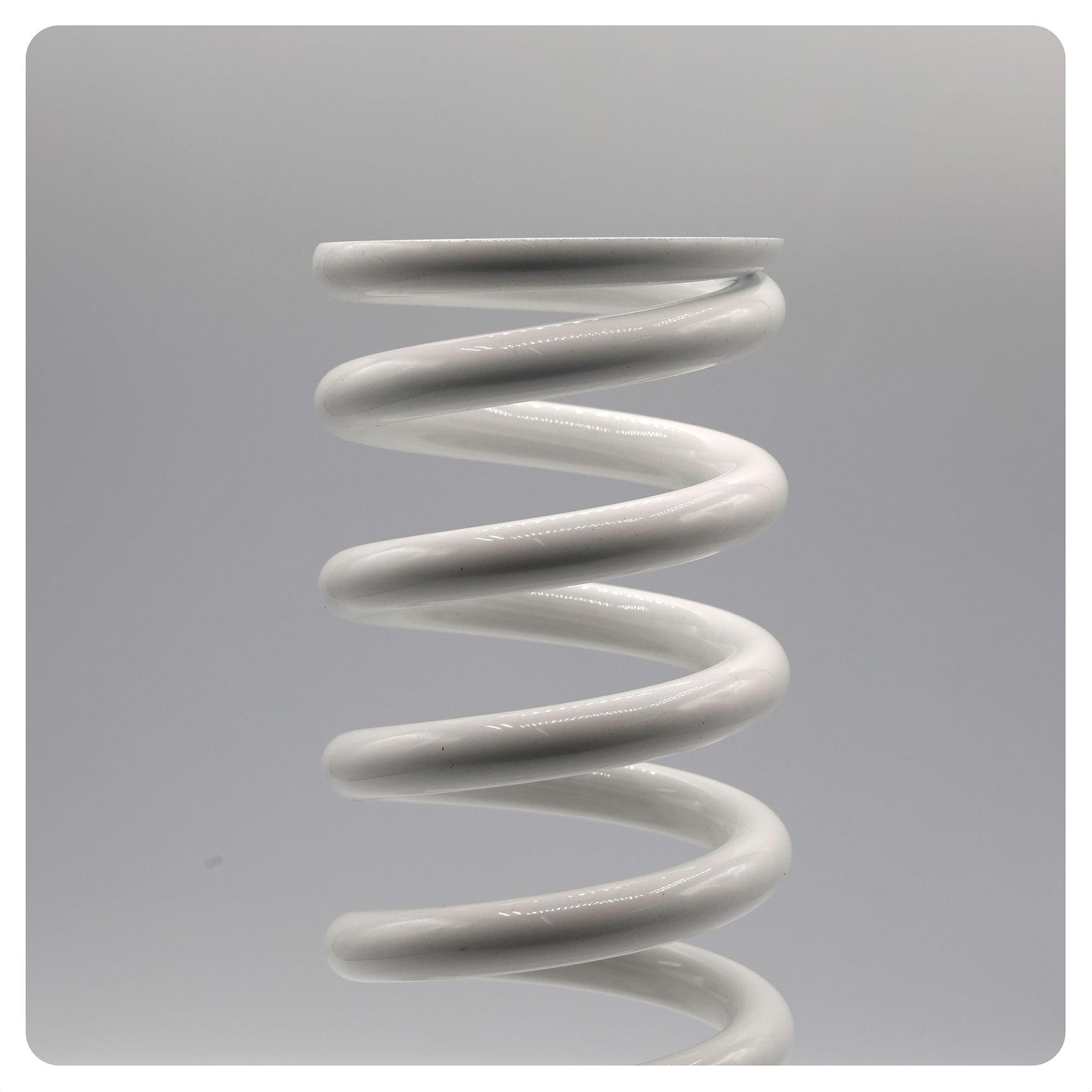 REAR SPRINGS (59) 205MM – RALLY RAID PRODUCTS